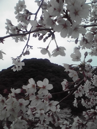 f:id:akizuki_b:20110403180421j:image