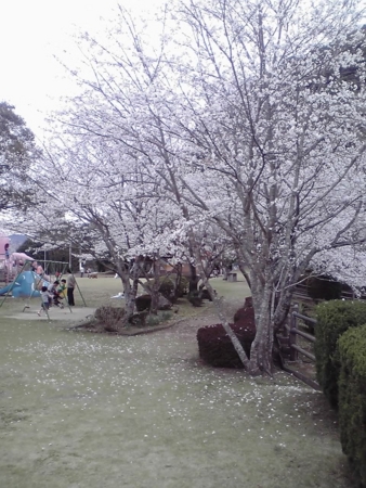 f:id:akizuki_b:20110403180422j:image