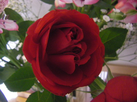 f:id:akizukid:20150125161346j:plain f:id:akizukid:20150125161346j:plain