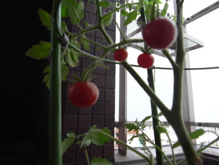 f:id:akk-o:20090710221453j:image f:id:akk-o:20090710221453j:image