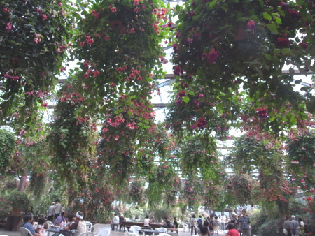 f:id:akk-o:20090815211804j:image f:id:akk-o:20090815211804j:image