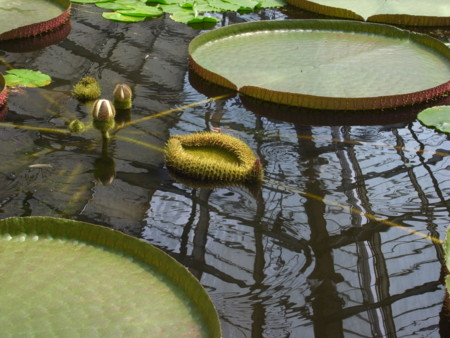 f:id:akk-o:20090815212958j:image f:id:akk-o:20090815212958j:image