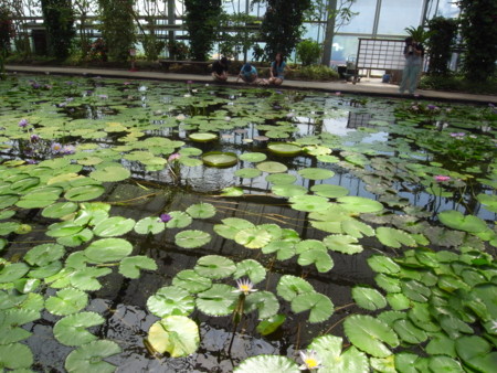f:id:akk-o:20090815213225j:image f:id:akk-o:20090815213225j:image