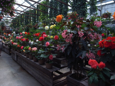 f:id:akk-o:20090815213533j:image f:id:akk-o:20090815213533j:image