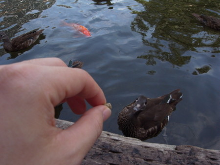 f:id:akk-o:20090815214953j:image f:id:akk-o:20090815214953j:image