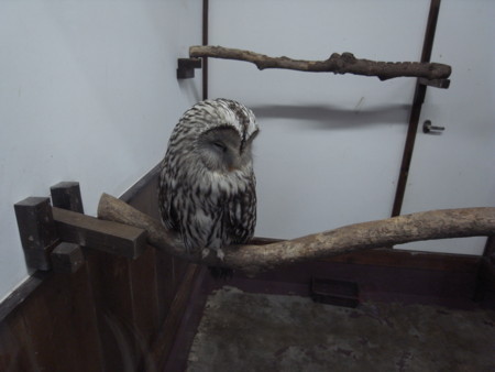 f:id:akk-o:20090815215905j:image f:id:akk-o:20090815215905j:image