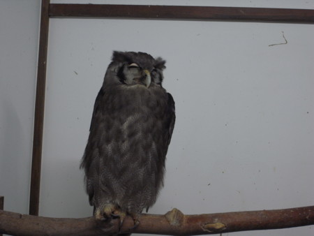 f:id:akk-o:20090815220105j:image f:id:akk-o:20090815220105j:image