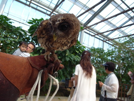 f:id:akk-o:20090815222152j:image f:id:akk-o:20090815222152j:image