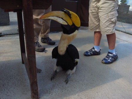 f:id:akk-o:20090815223230j:image f:id:akk-o:20090815223230j:image