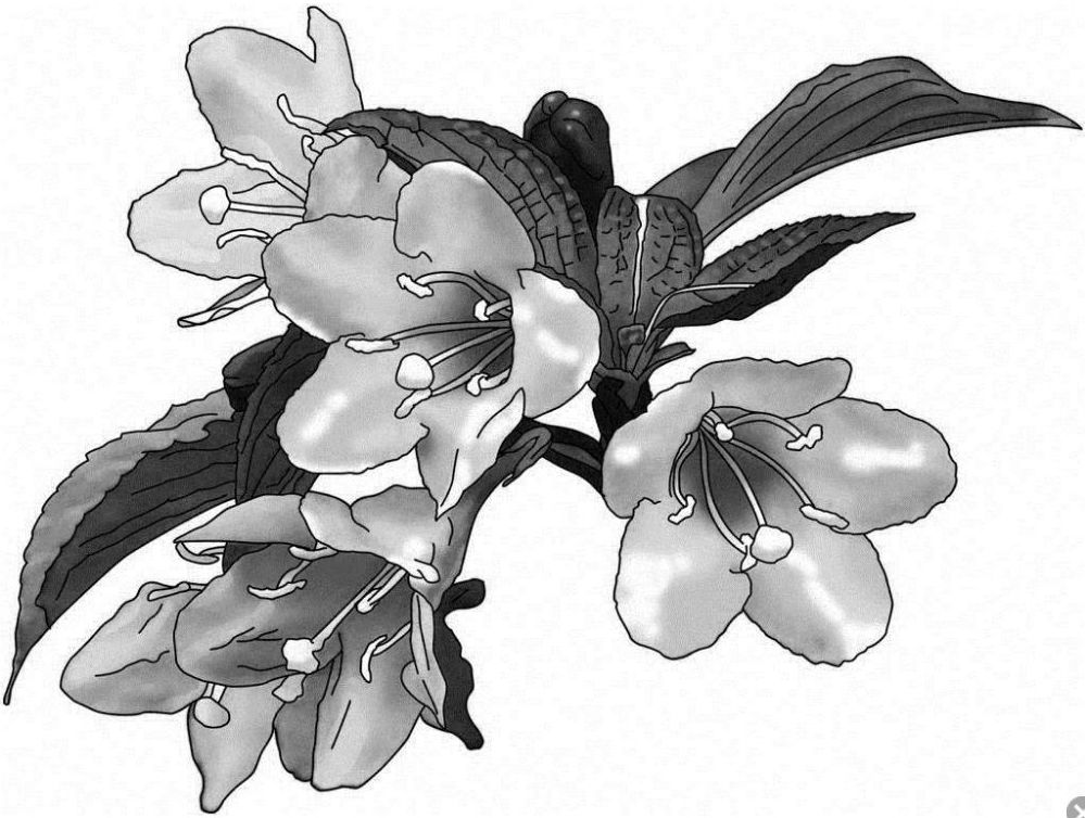 f:id:akkai005:20170509171210j:plain f:id:akkai005:20170509171210j:plain