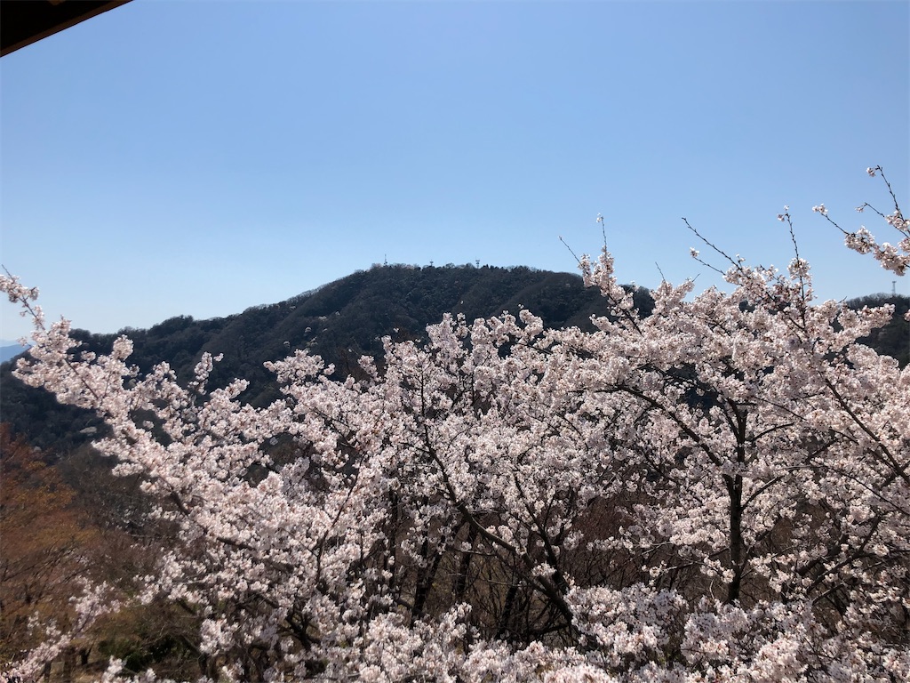 f:id:akkey1206:20220409234053j:image