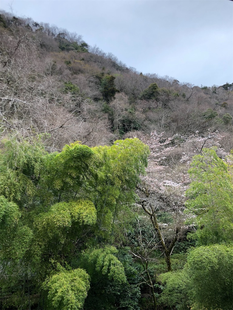f:id:akkey1206:20220424110453j:image