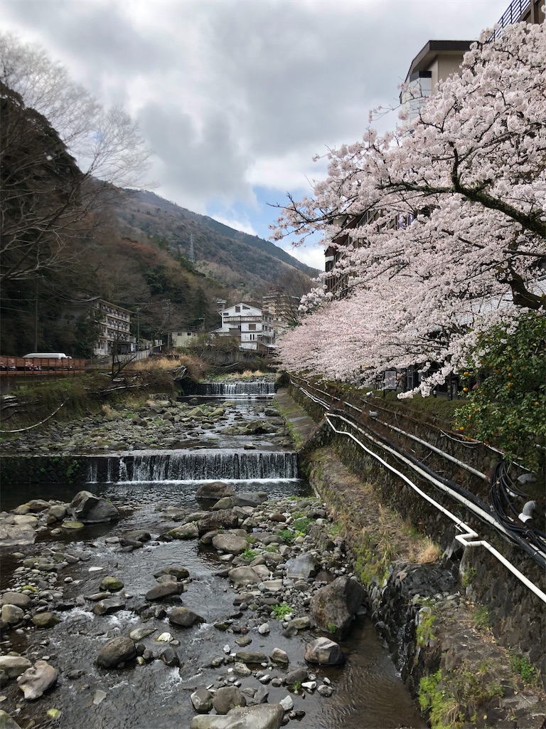 f:id:akkey1206:20220424111409j:image