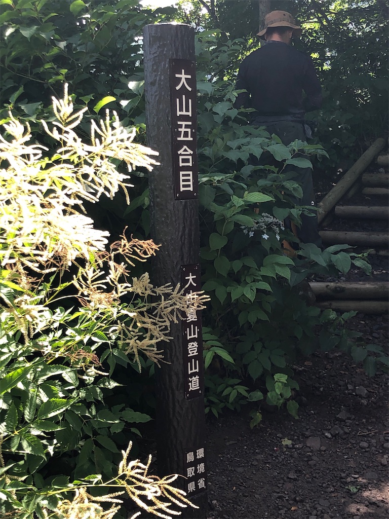 f:id:akkey1206:20220724102611j:image