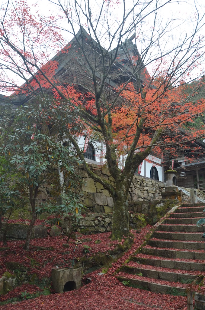 f:id:akkey1206:20221202224110j:image f:id:akkey1206:20221202224110j:image