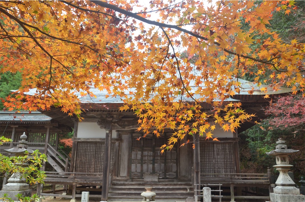 f:id:akkey1206:20221203074610j:image f:id:akkey1206:20221203074610j:image