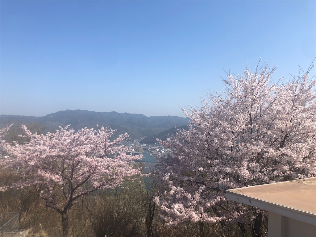 f:id:akkey1206:20230412032625j:image