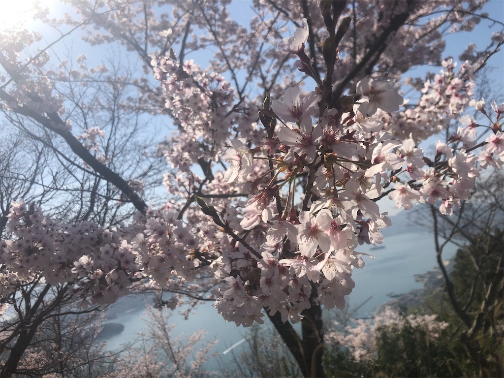 f:id:akkey1206:20230412032730j:image