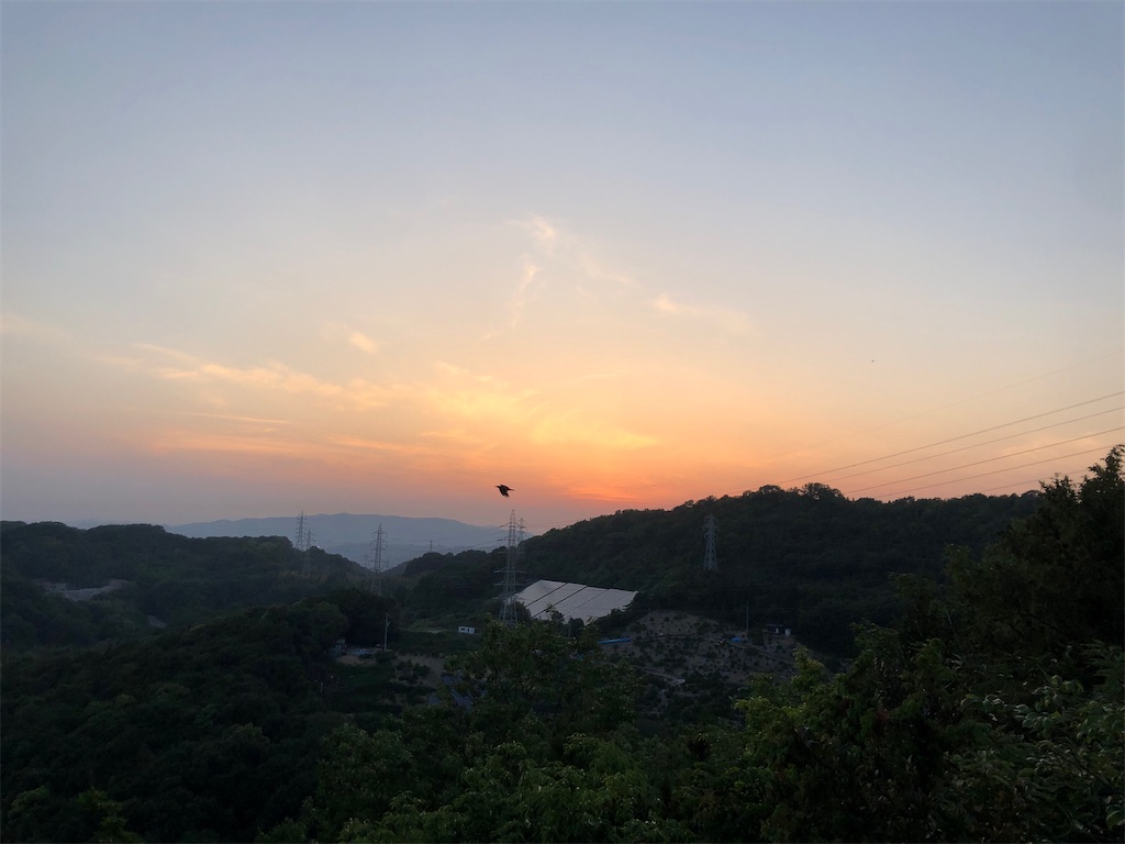 f:id:akkey1206:20230608022120j:image f:id:akkey1206:20230608022120j:image
