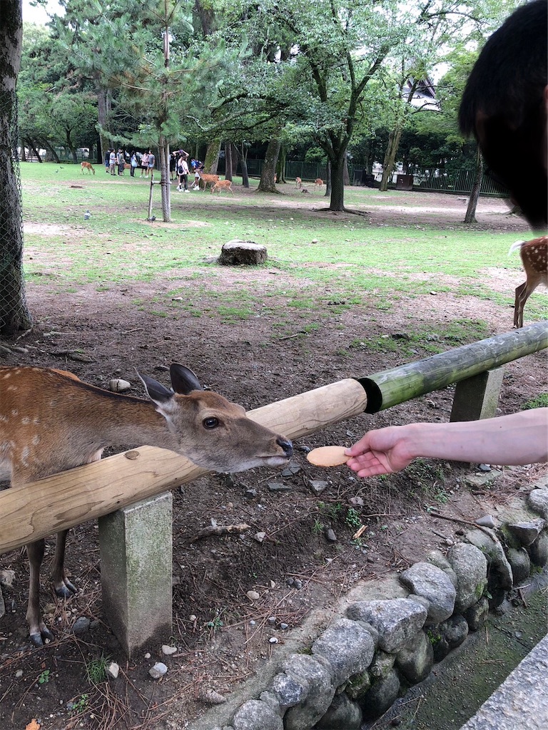 f:id:akkey1206:20230722200051j:image f:id:akkey1206:20230722200051j:image