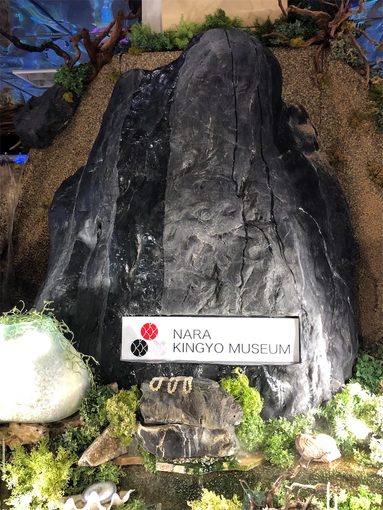 f:id:akkey1206:20230722200151j:image f:id:akkey1206:20230722200151j:image