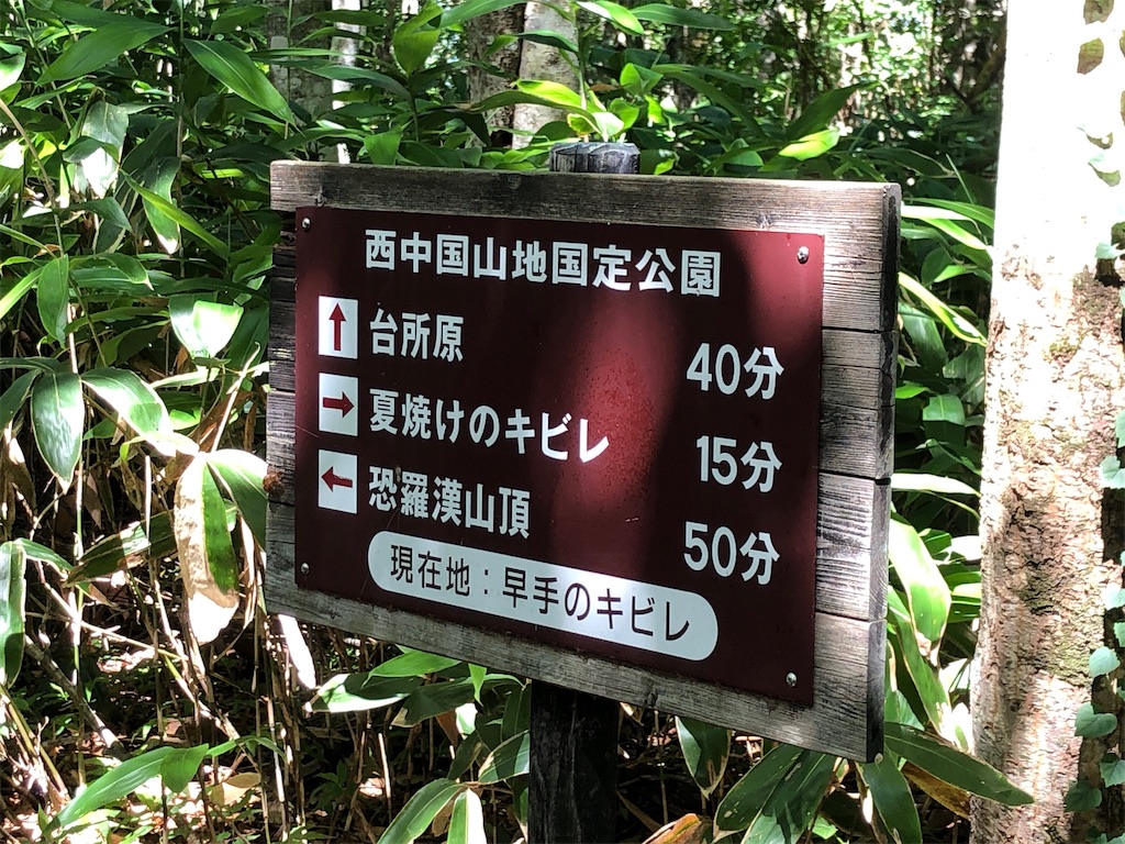 f:id:akkey1206:20230803091505j:image f:id:akkey1206:20230803091505j:image