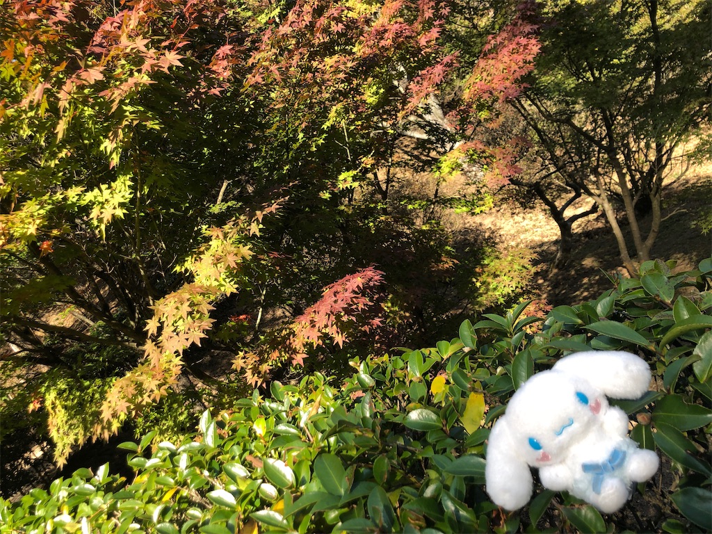 f:id:akkey1206:20240119104416j:image f:id:akkey1206:20240119104416j:image