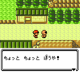ポケットモンスター銀 ちょっと虫とり少年になってチャンピオンなってくるわ 11 あっきーのーゲーム ポケットモンスター銀 ちょっと虫とり少年になってチャンピオンなってくるわ 11 あっきーのーゲーム