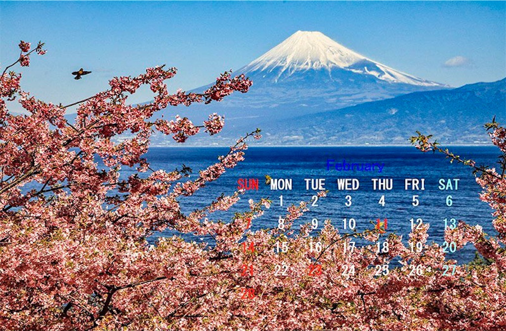 f:id:akkiepj:20210202150207j:image