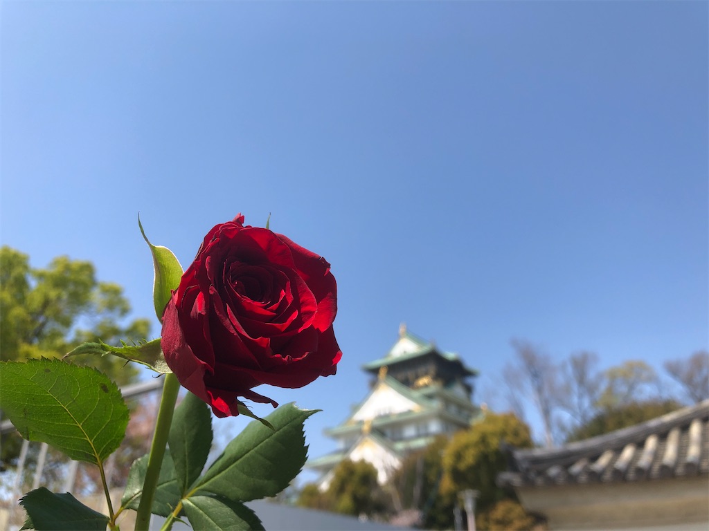 f:id:akkiepj:20230404160833j:image