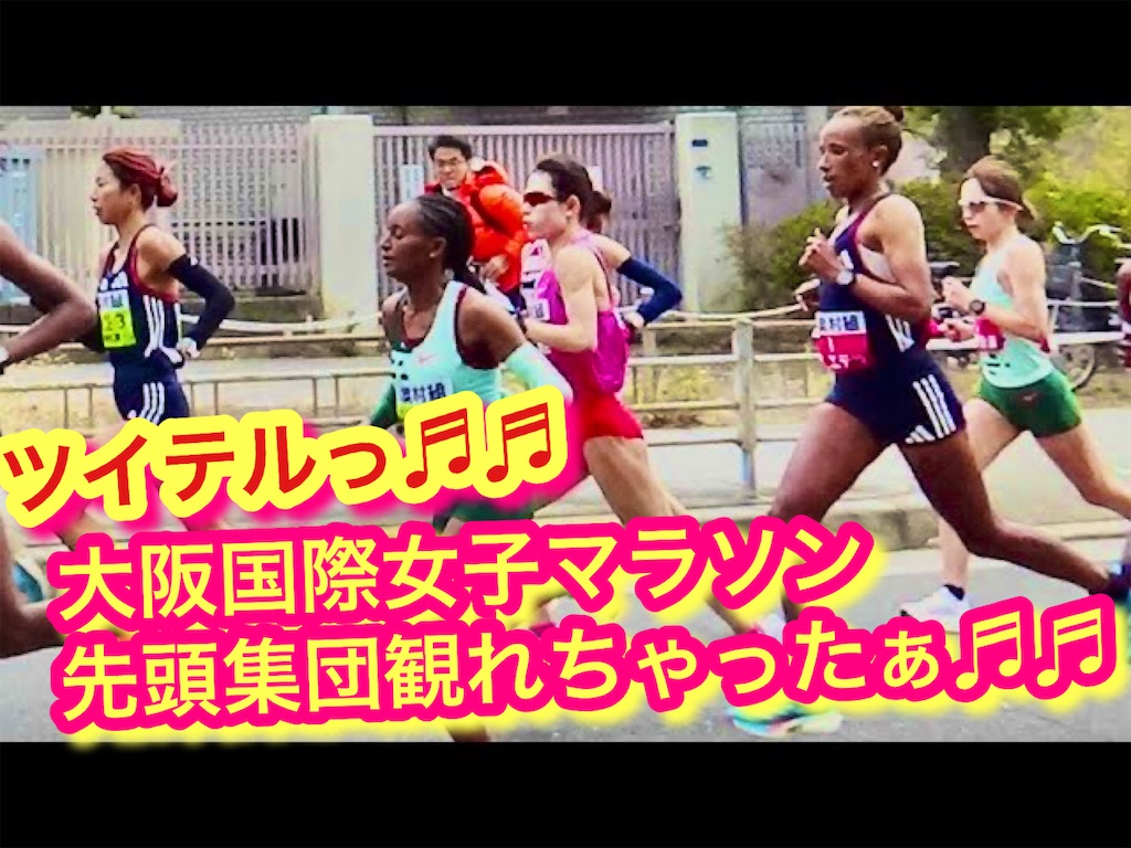 f:id:akkiepj:20240128181817j:image