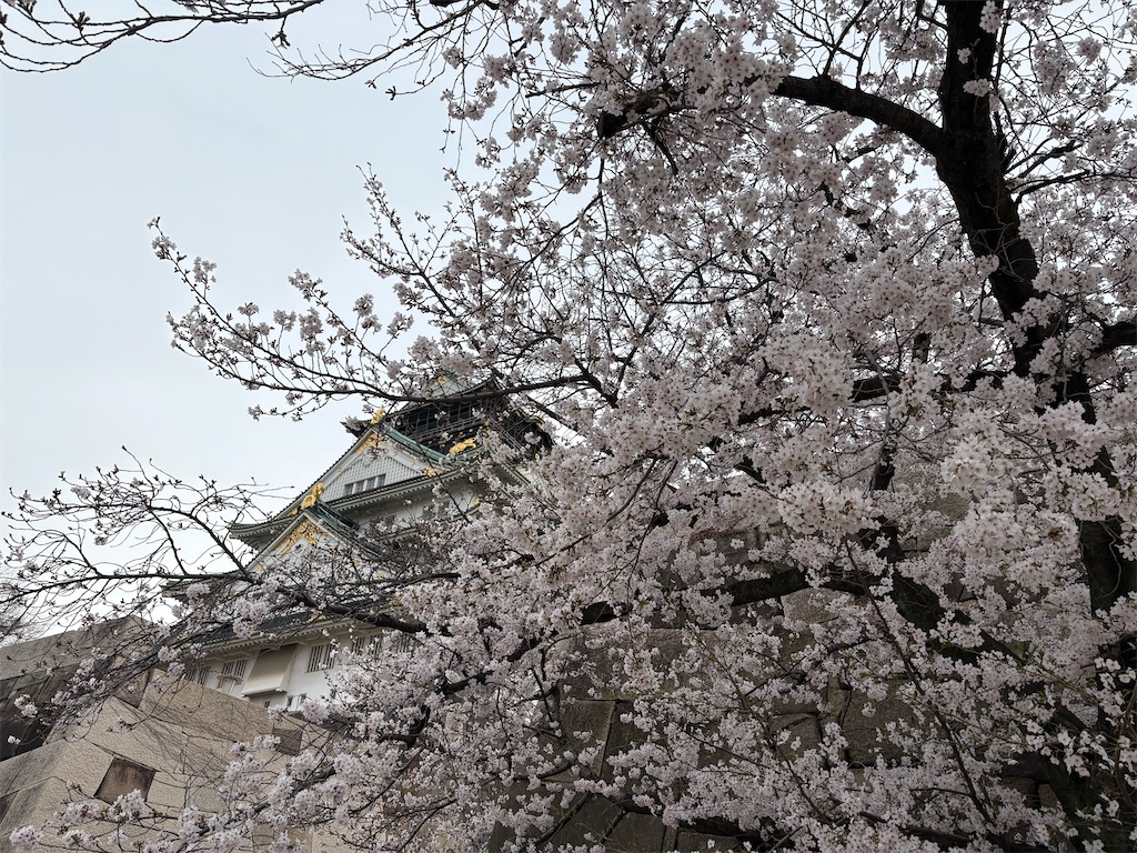 f:id:akkiepj:20260331105104j:image