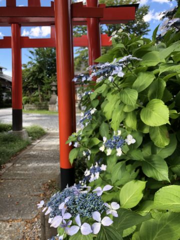 ツール・ド・御朱印 - 02 天明稲荷神社
