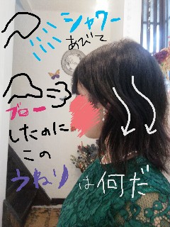 f:id:akkimemo:20180828010451j:image f:id:akkimemo:20180828010451j:image
