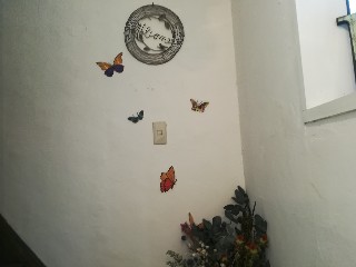 f:id:akkimemo:20180828010816j:image f:id:akkimemo:20180828010816j:image