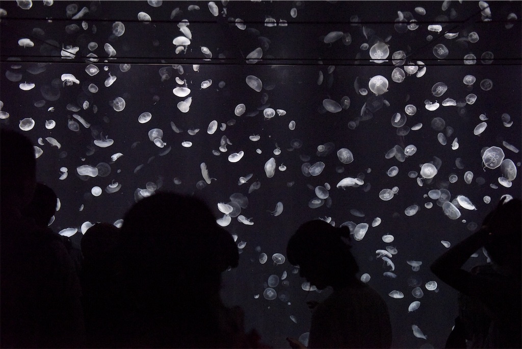 f:id:akkimemo:20181019043324j:image f:id:akkimemo:20181019043324j:image