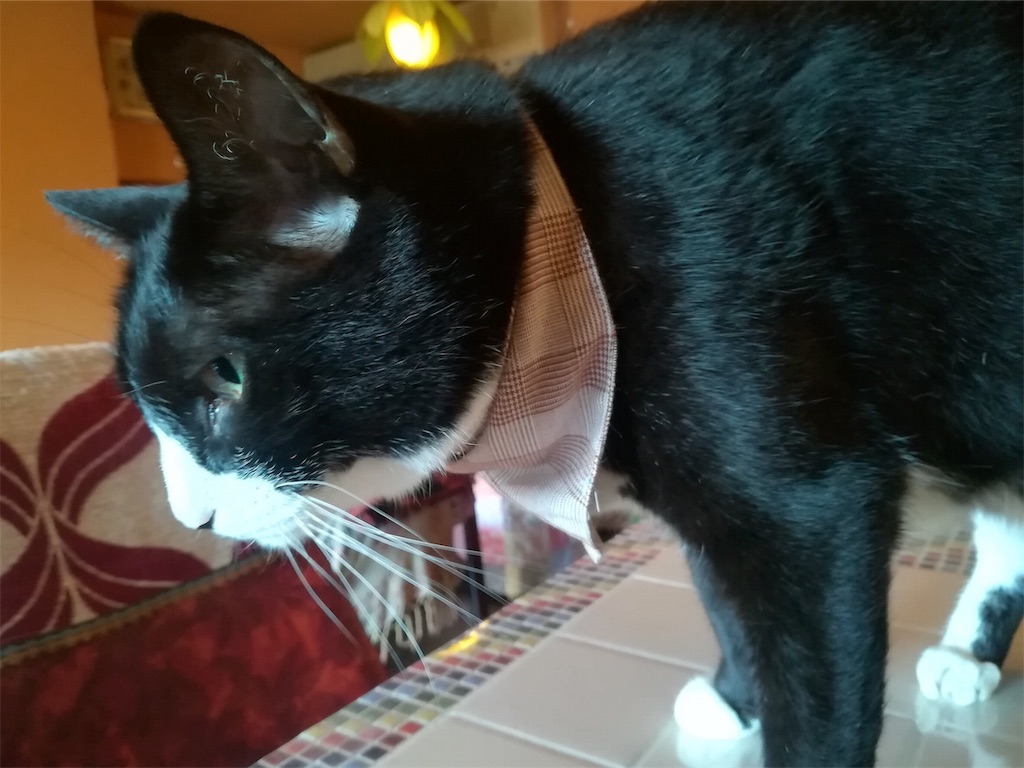 f:id:akkimemo:20181220171235j:image f:id:akkimemo:20181220171235j:image