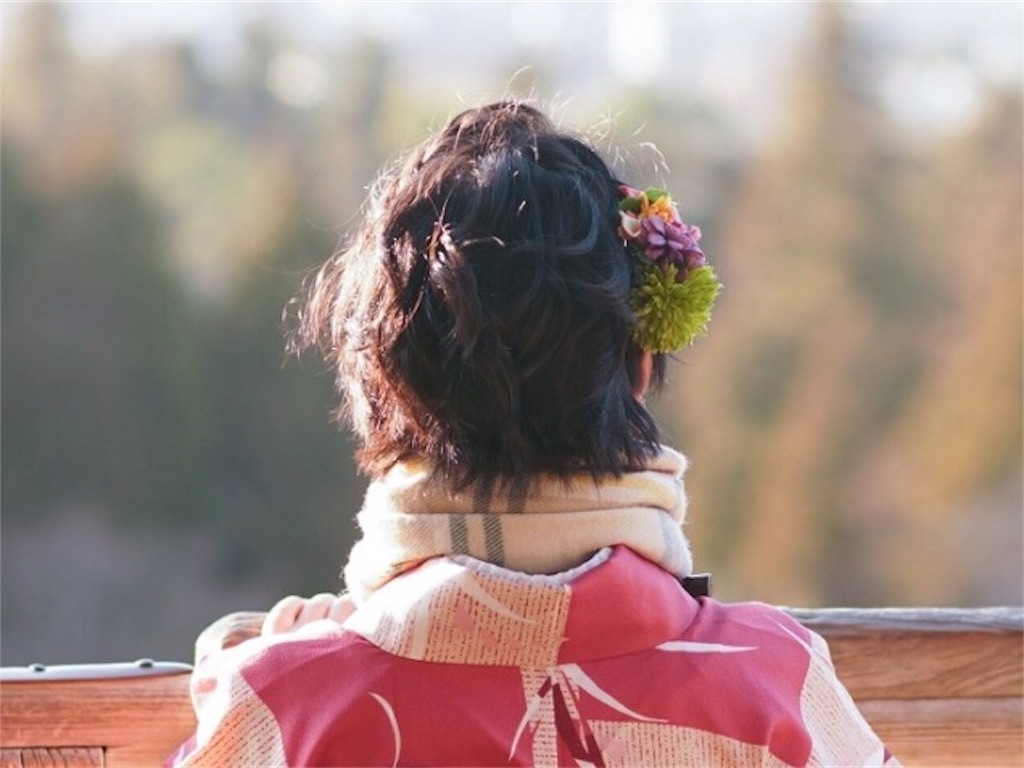 f:id:akkimemo:20190121103529j:image