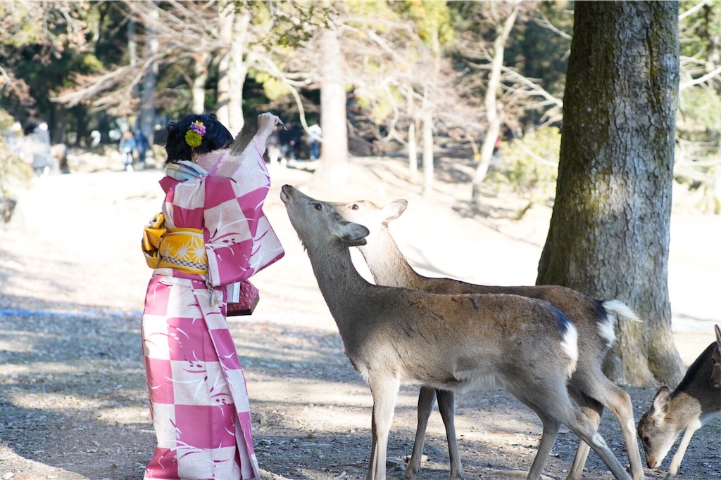 f:id:akkimemo:20190121140346j:image