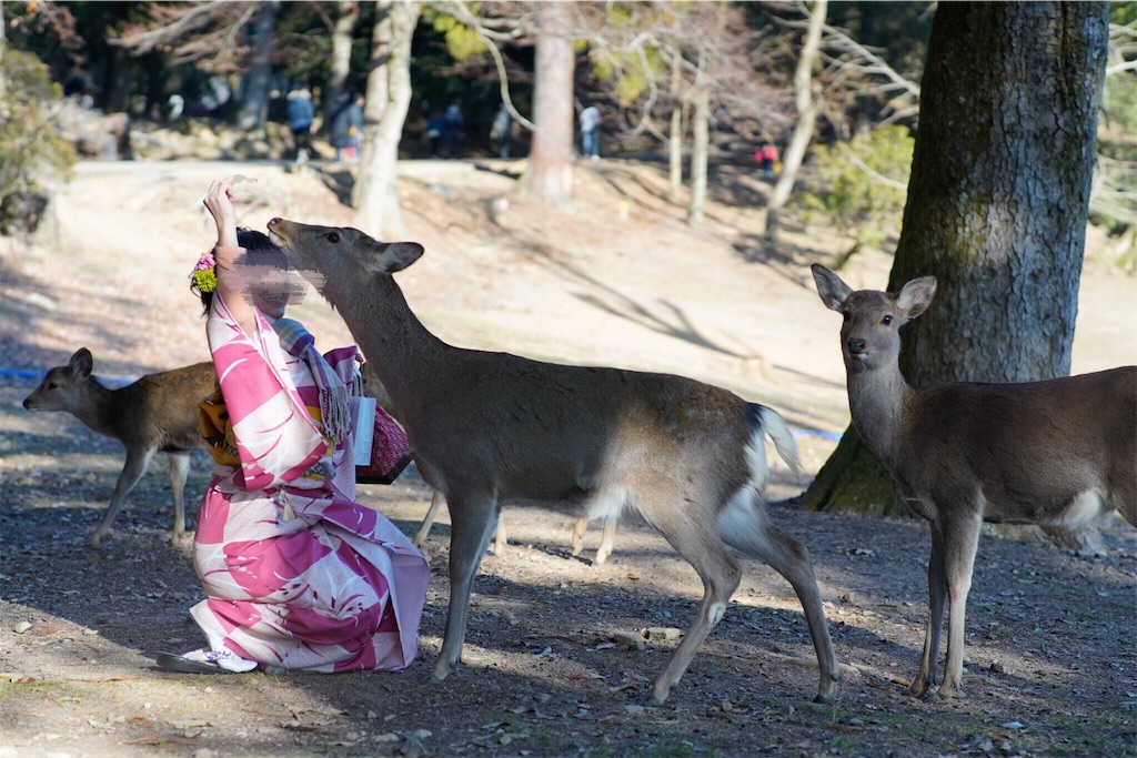 f:id:akkimemo:20190121140409j:image