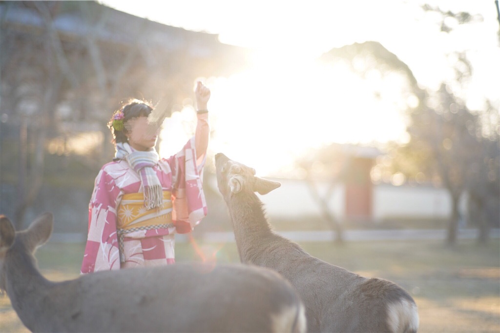 f:id:akkimemo:20190121140749j:image