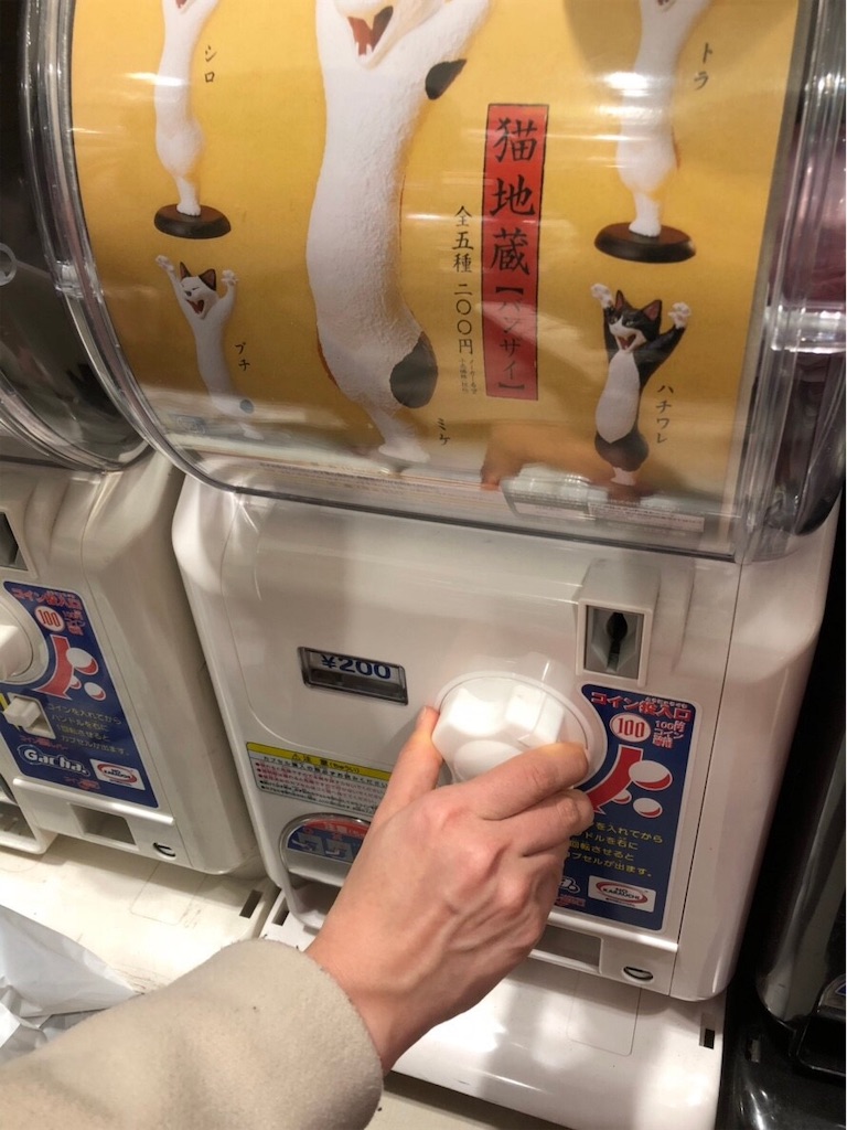 f:id:akkimemo:20190214161632j:image f:id:akkimemo:20190214161632j:image
