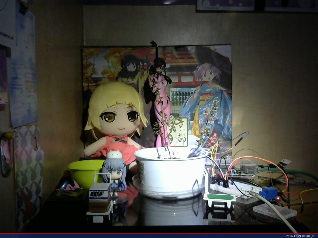 f:id:akkisino02:20161121003927j:plain