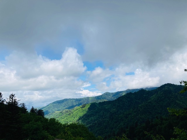 f:id:akko_jp:20210611193005j:plain