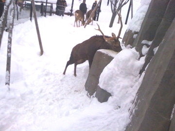 20100113122124