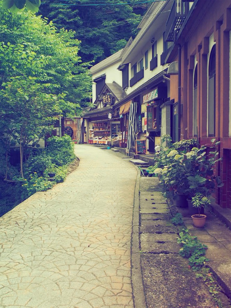 f:id:akkoya0217:20190629122034j:image