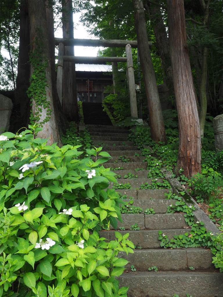 f:id:akkoya0217:20190629124648j:image