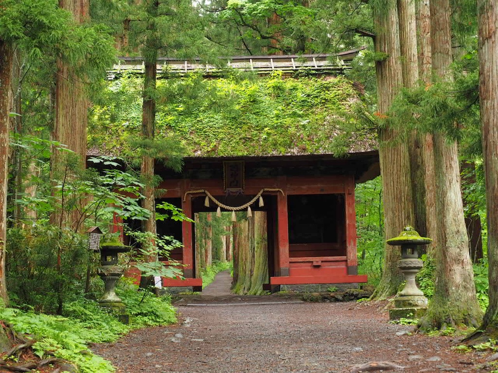 f:id:akkoya0217:20190629133125j:image