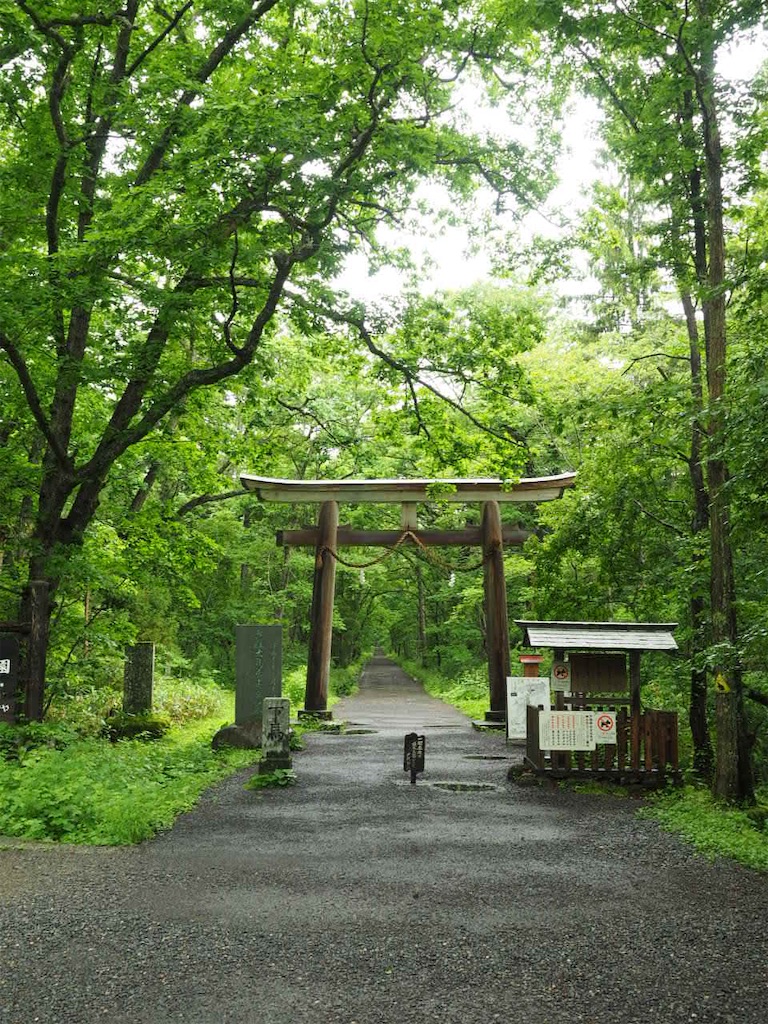 f:id:akkoya0217:20190629134050j:image