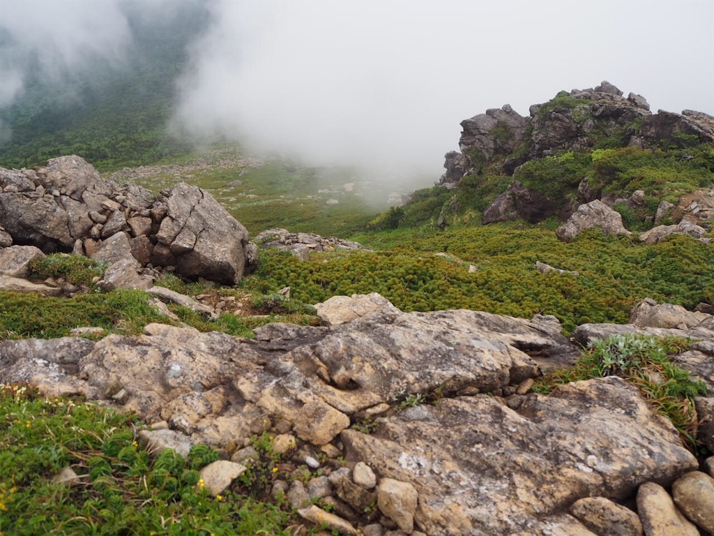 f:id:akkoya0217:20190629154154j:image